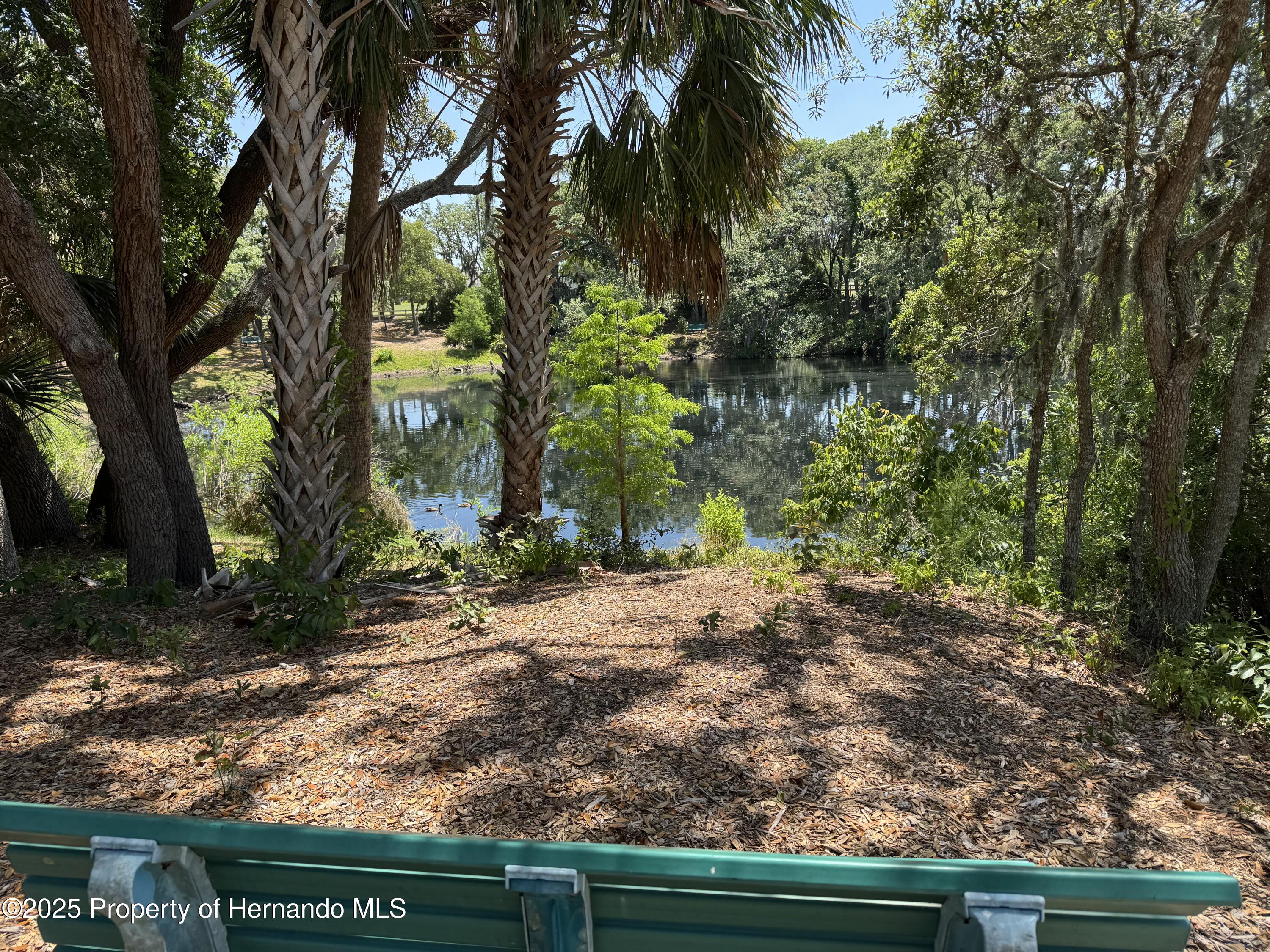 18209 Breland Drive, Hudson, Florida image 42