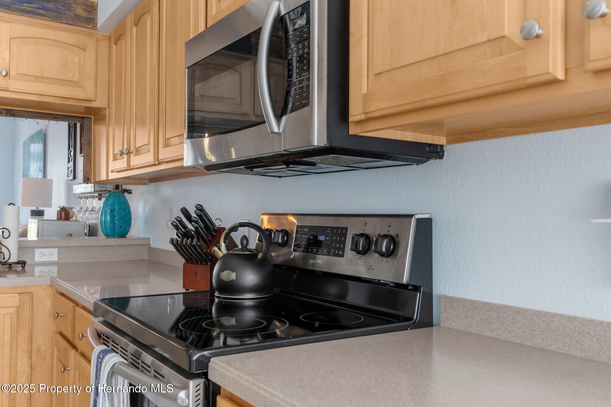 18209 Breland Drive, Hudson, Florida image 10
