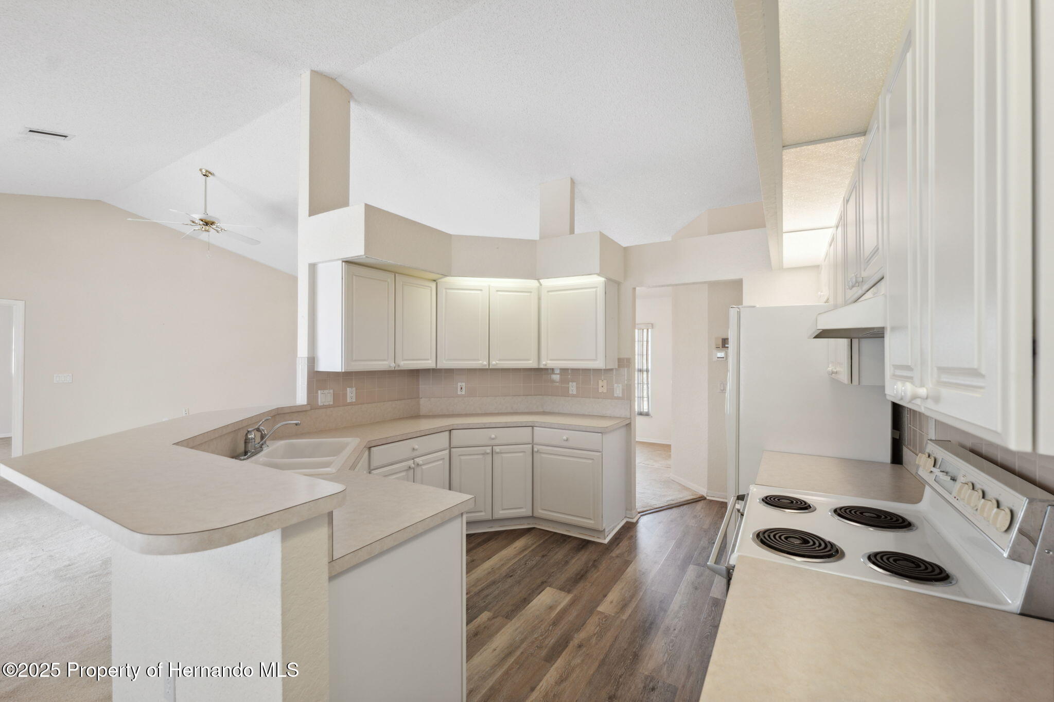 2057 Carson Avenue, Spring Hill, Florida image 9