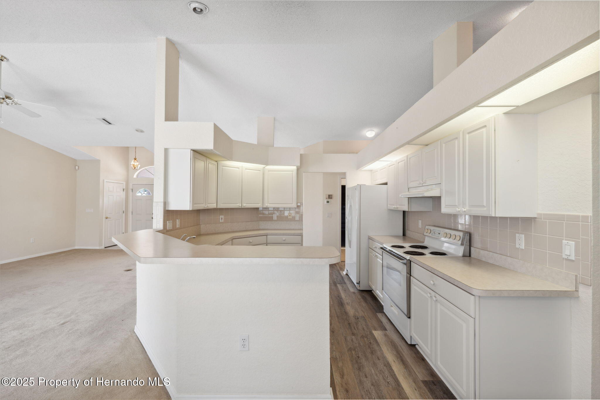 2057 Carson Avenue, Spring Hill, Florida image 10