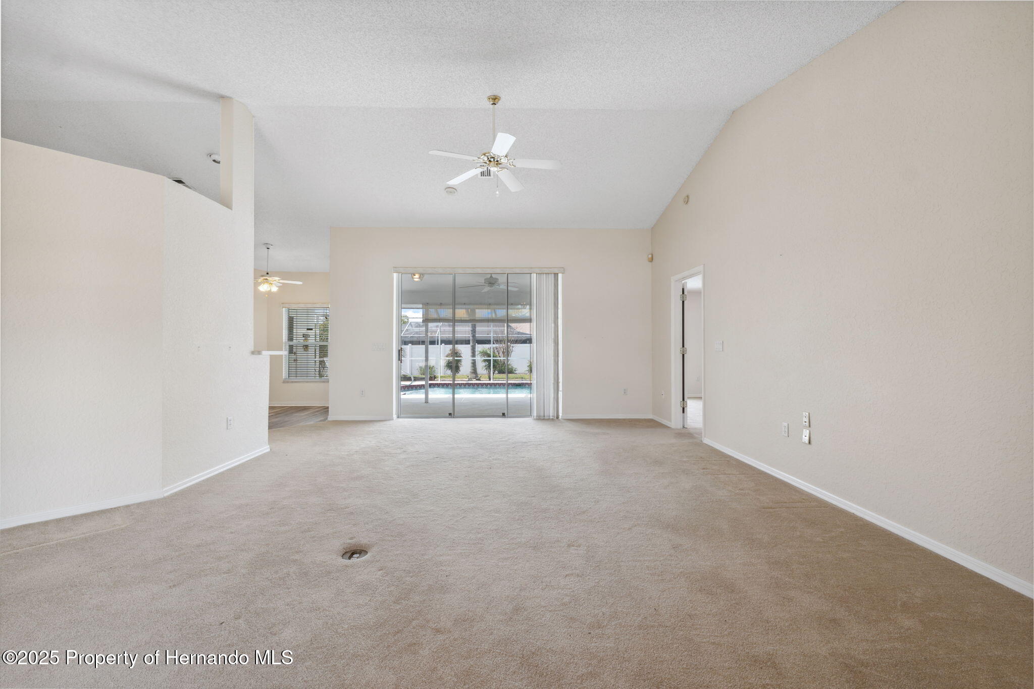 2057 Carson Avenue, Spring Hill, Florida image 8