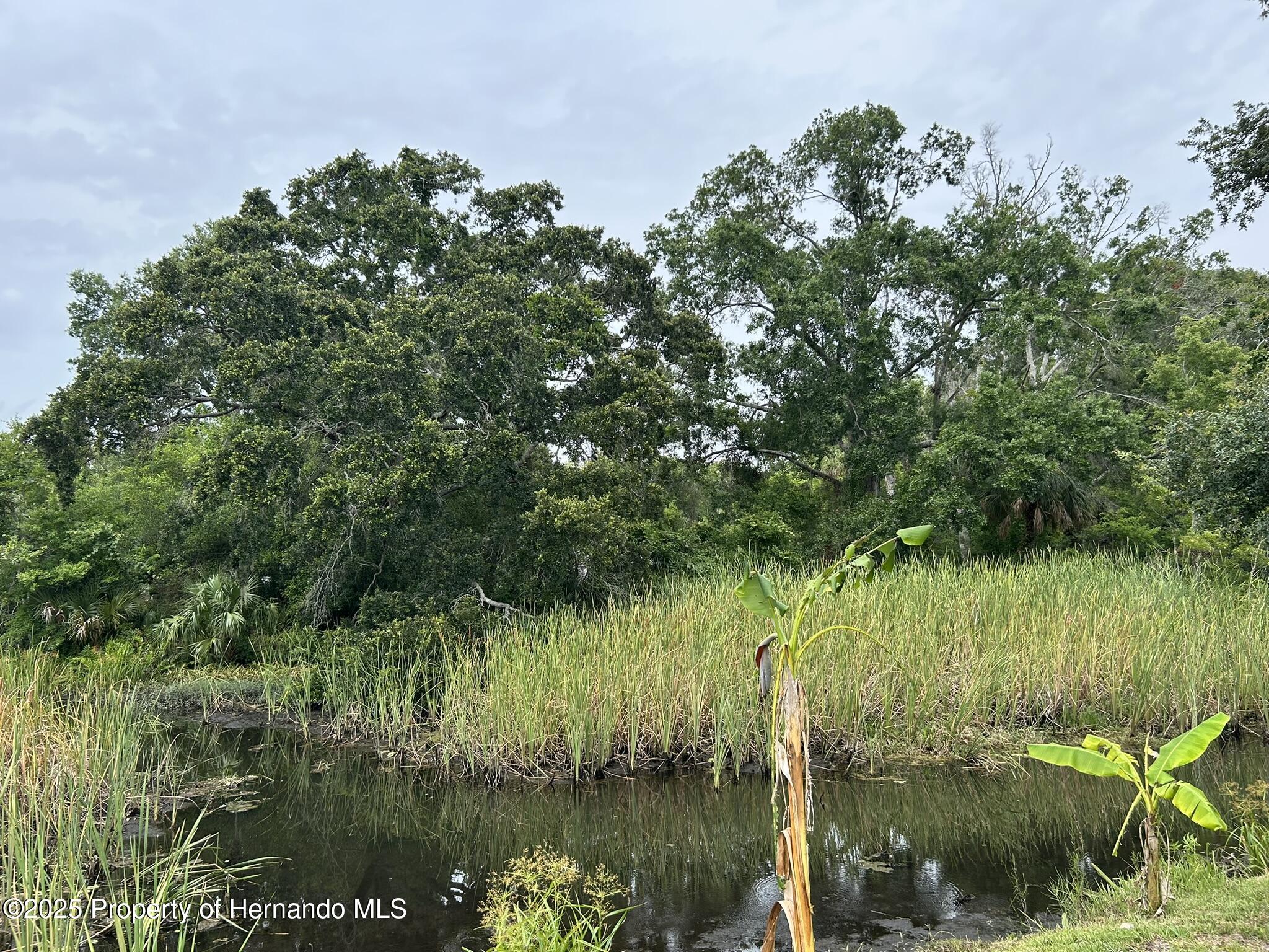 6443 Finance Ave, Weeki Wachee, Florida image 28