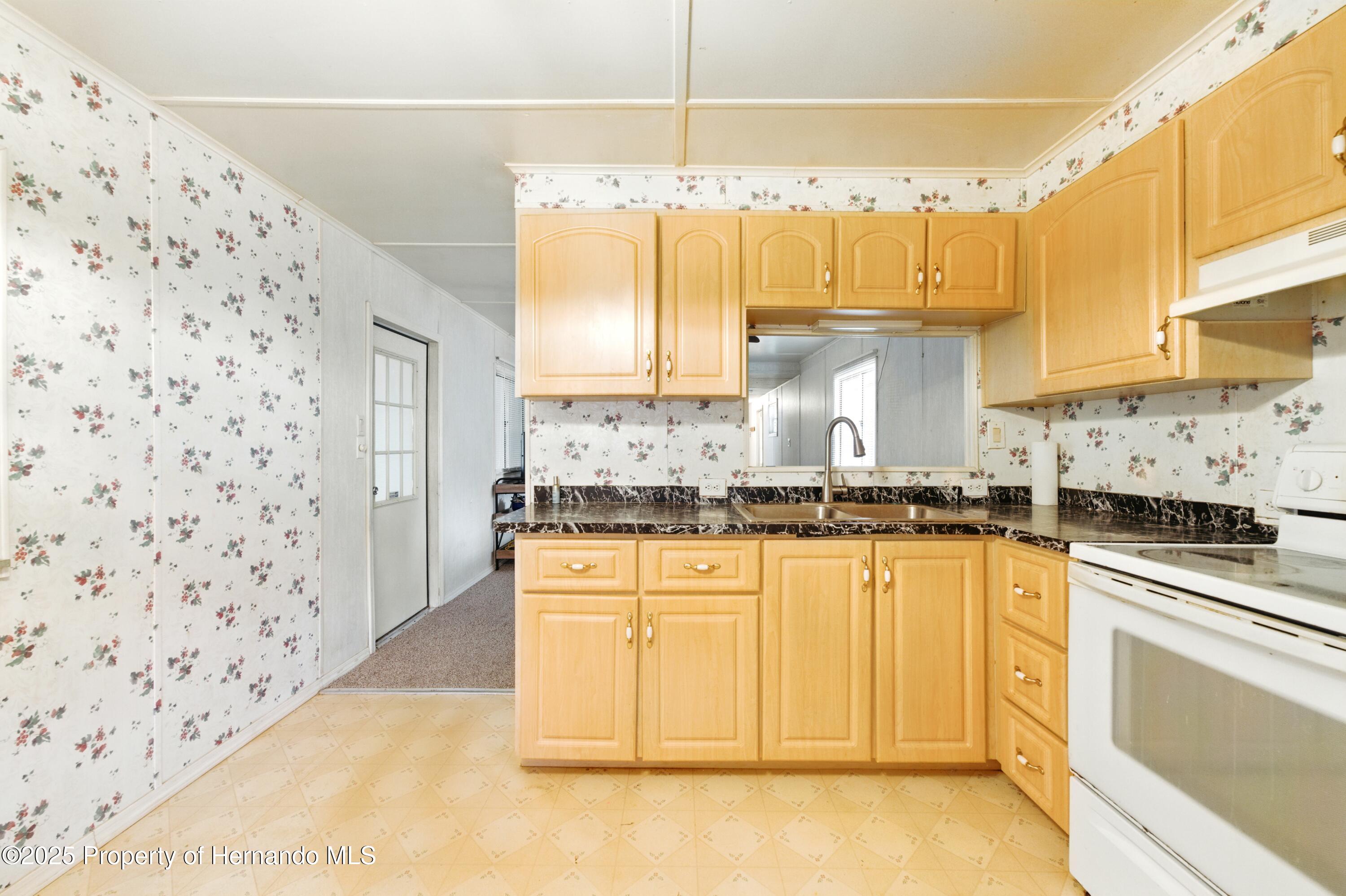 29163 Heckleman Street, Brooksville, Florida image 7