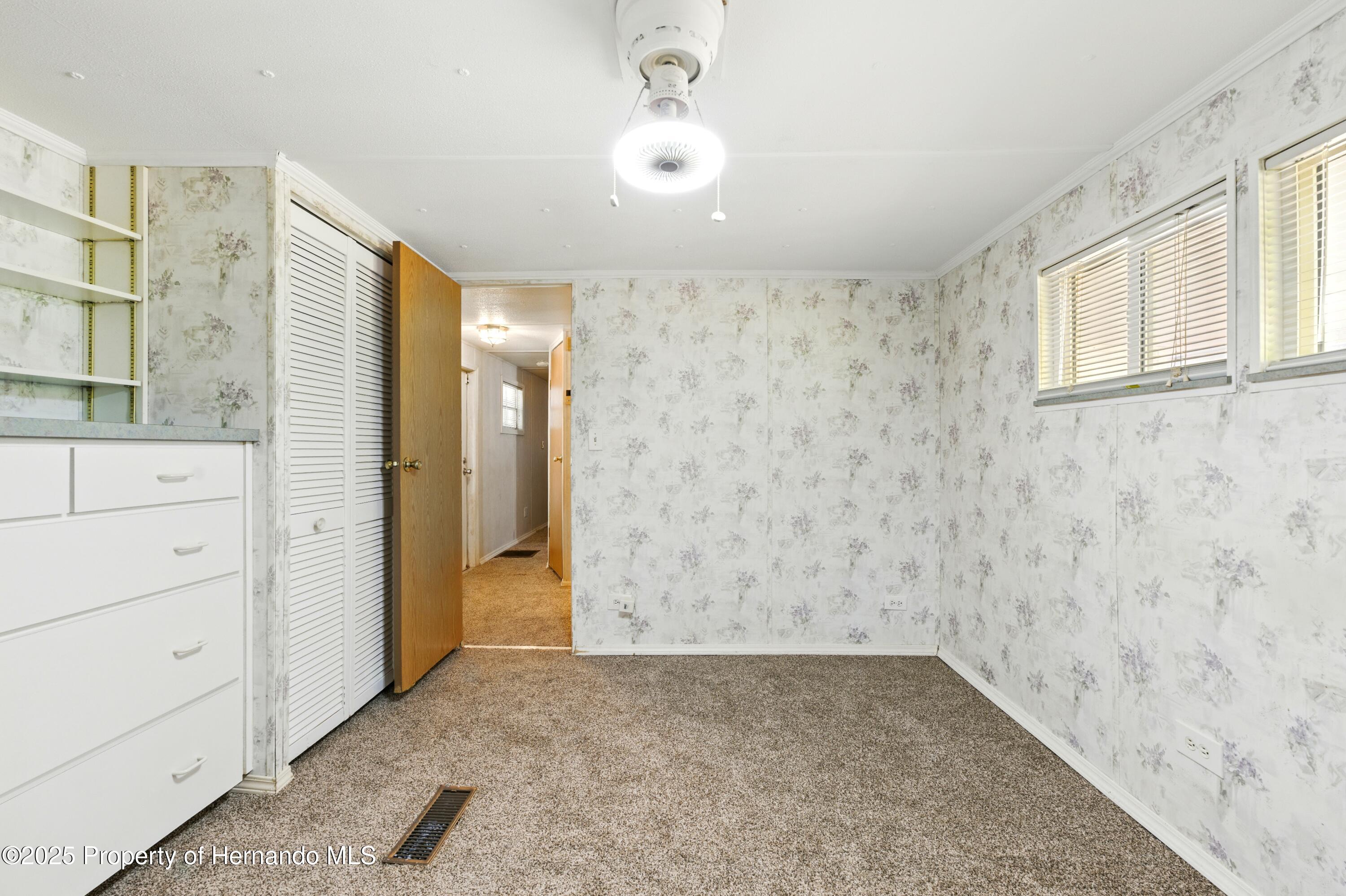 29163 Heckleman Street, Brooksville, Florida image 22