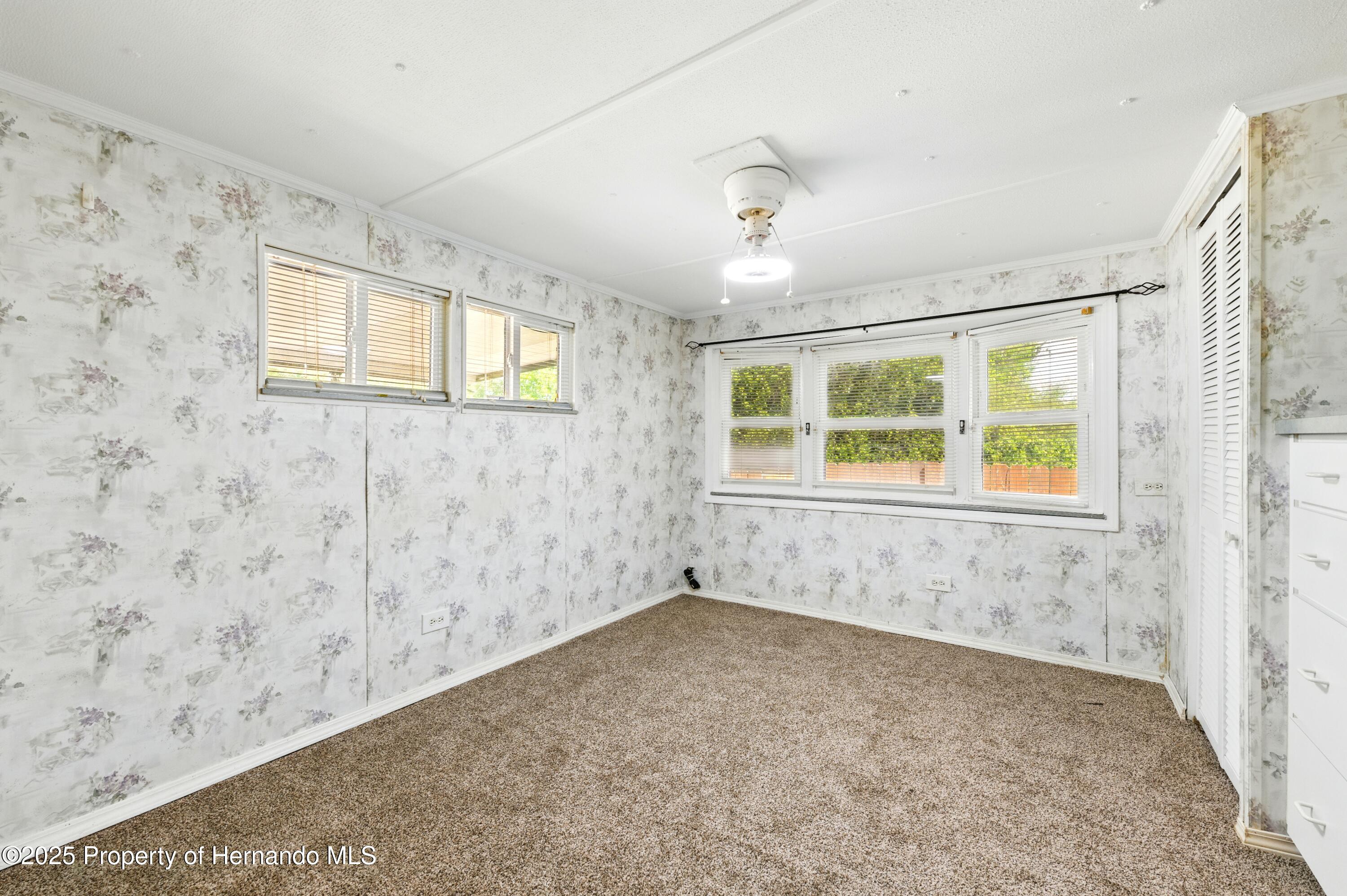 29163 Heckleman Street, Brooksville, Florida image 20