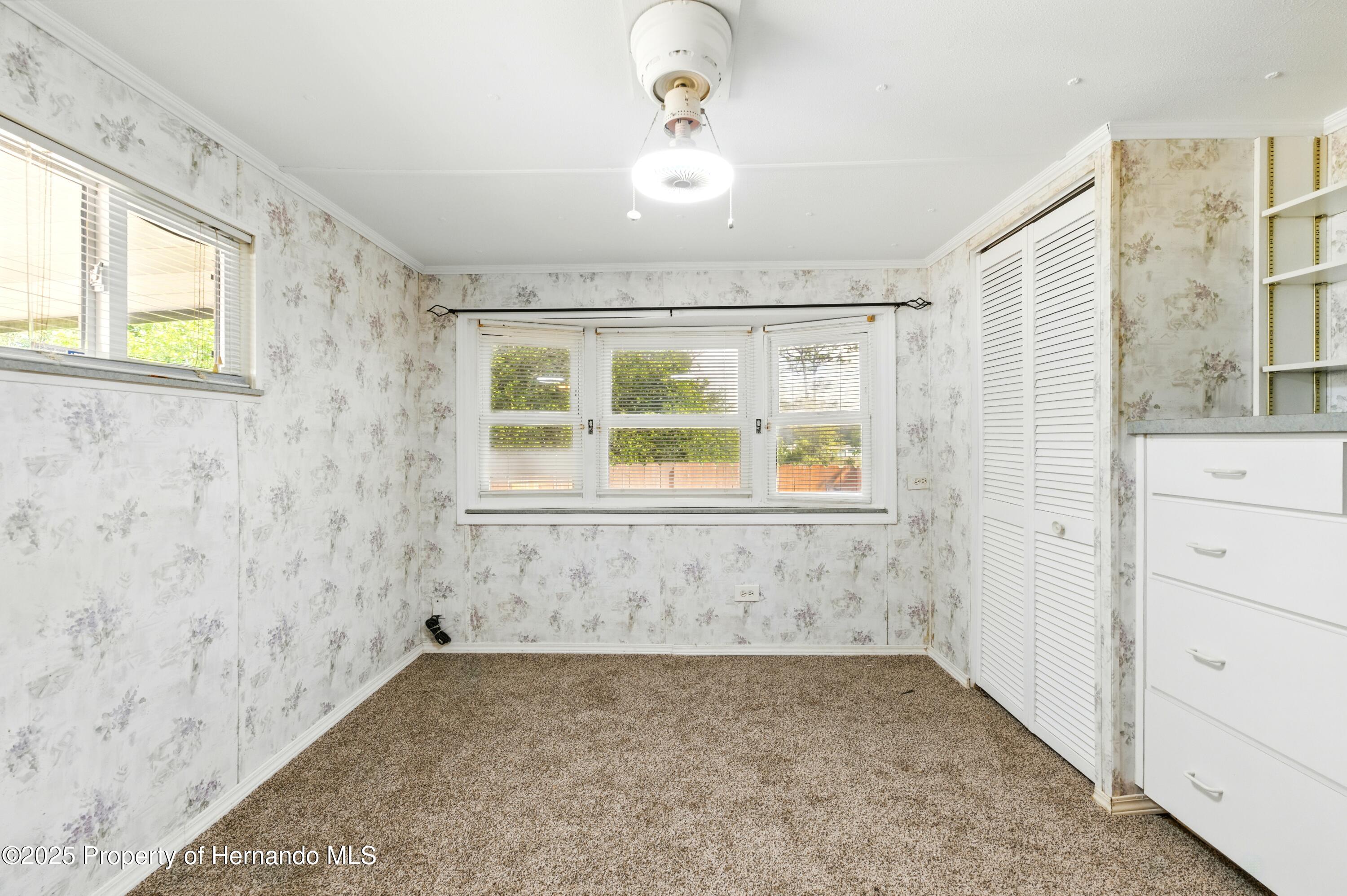 29163 Heckleman Street, Brooksville, Florida image 21