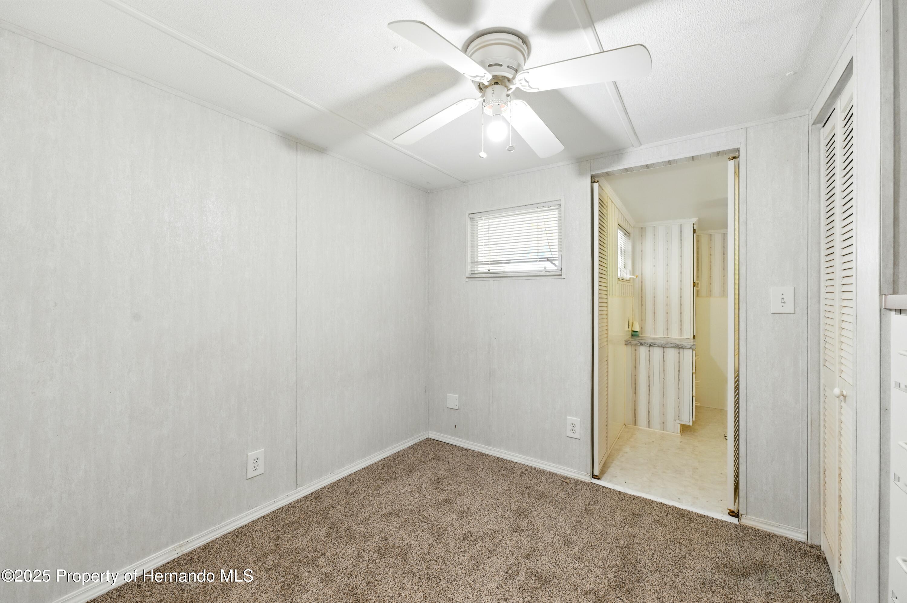 29163 Heckleman Street, Brooksville, Florida image 15