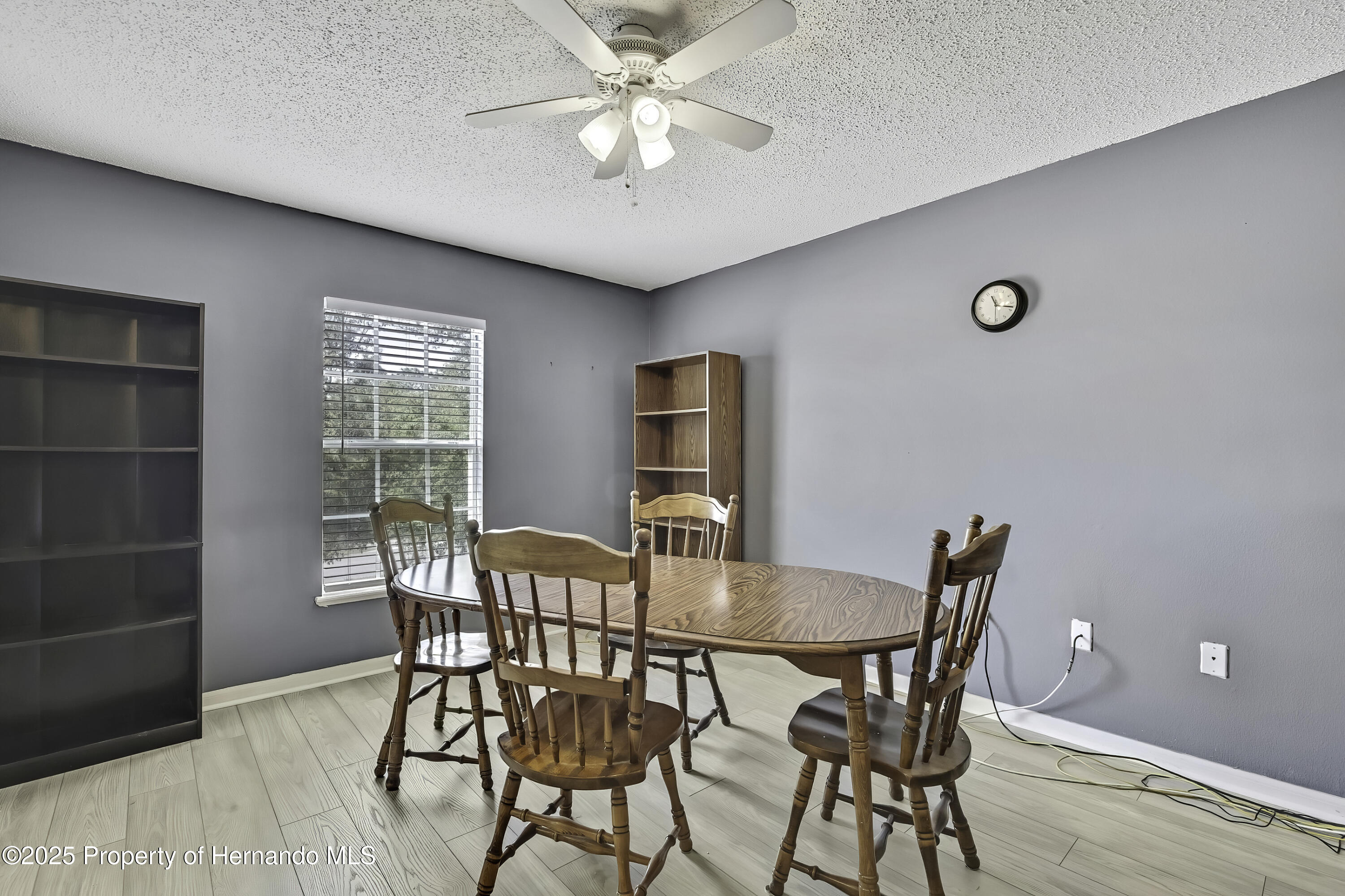 11257 Persimmon Avenue, Weeki Wachee, Florida image 14