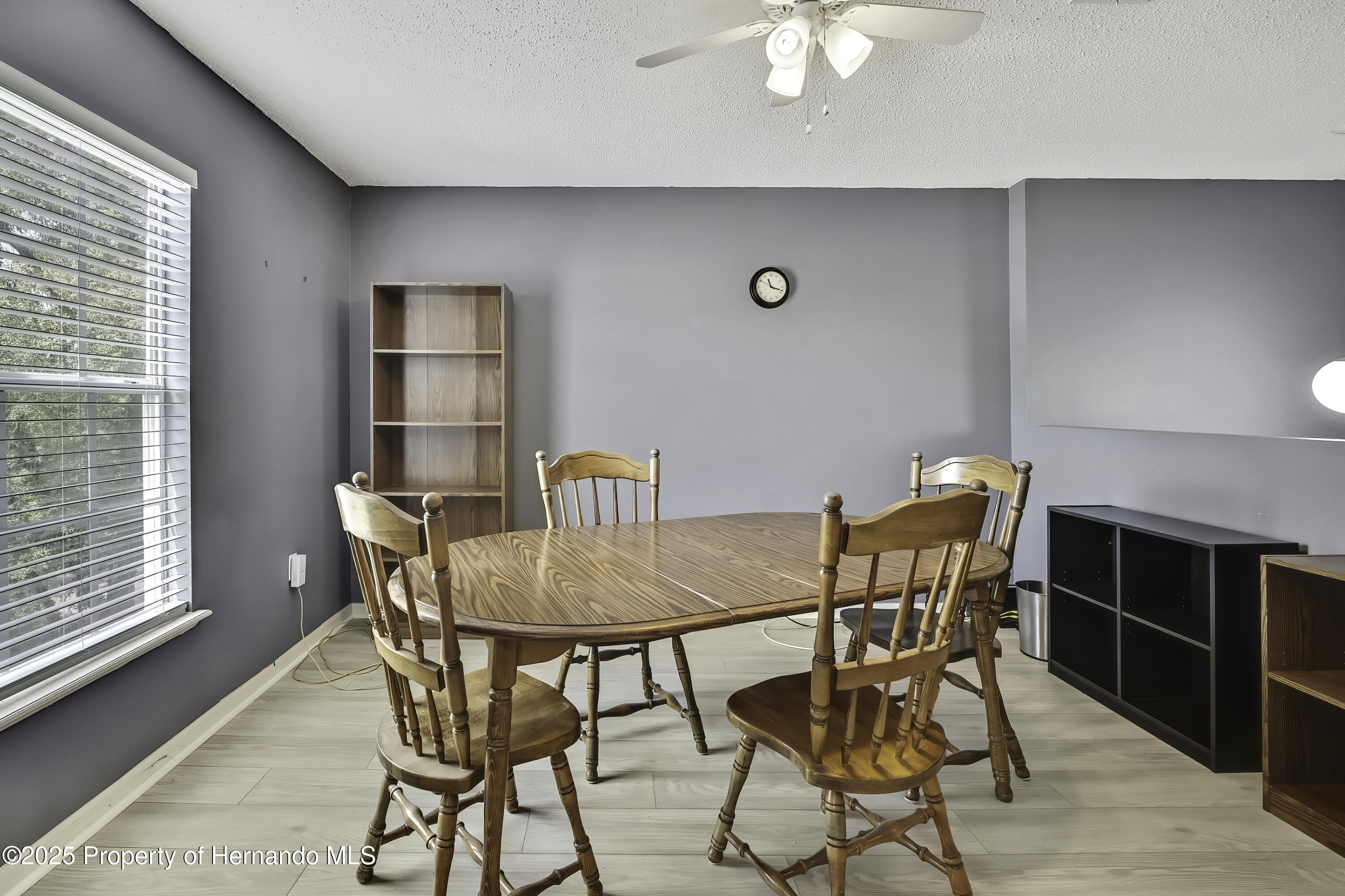 11257 Persimmon Avenue, Weeki Wachee, Florida image 15