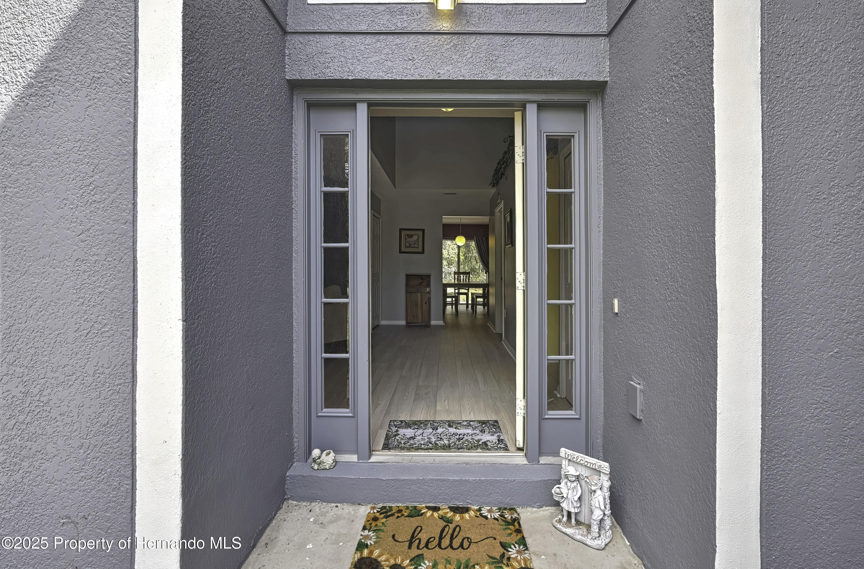 11257 Persimmon Avenue, Weeki Wachee, Florida image 6