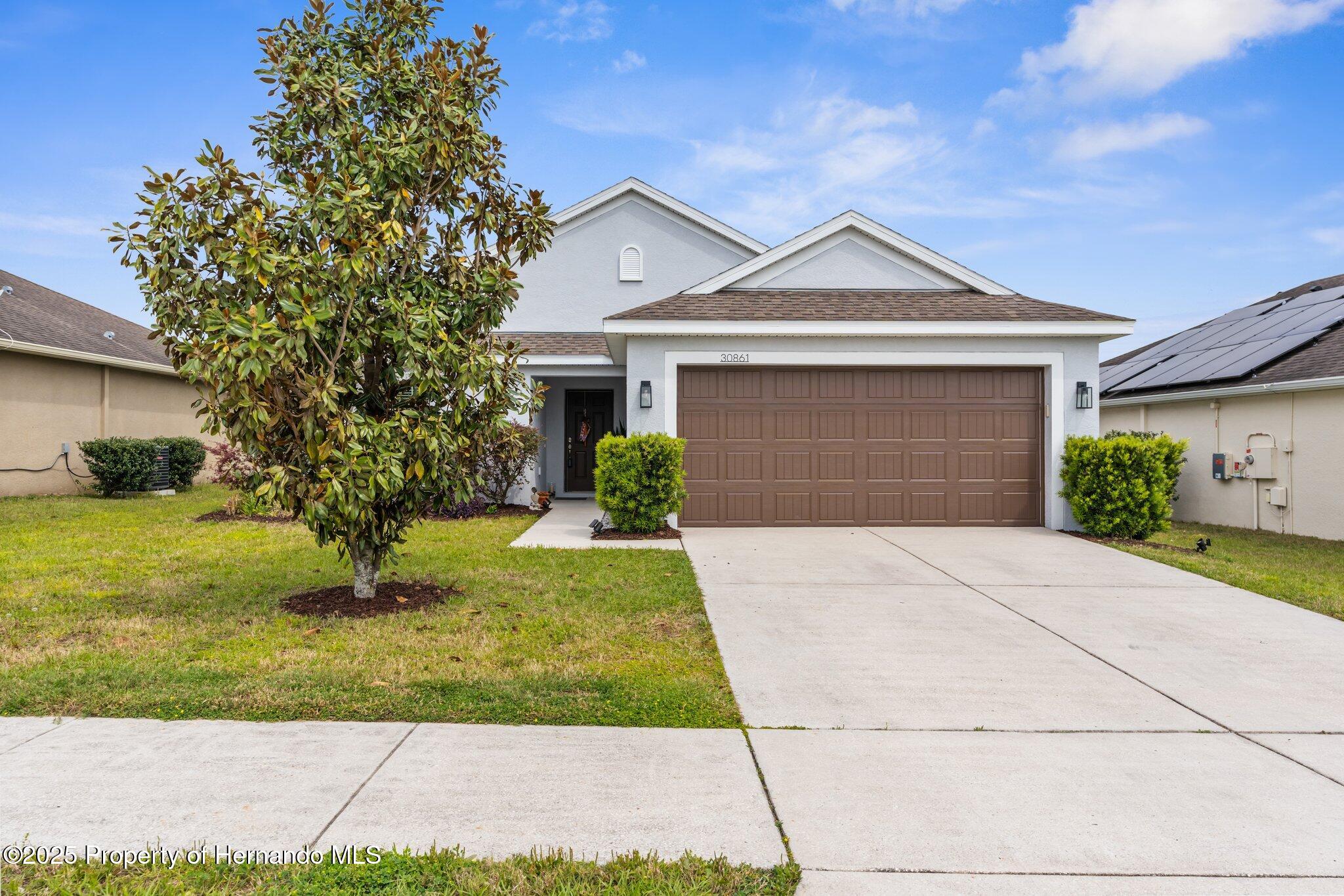 30861 Water Lily Drive, Brooksville, Florida image 3