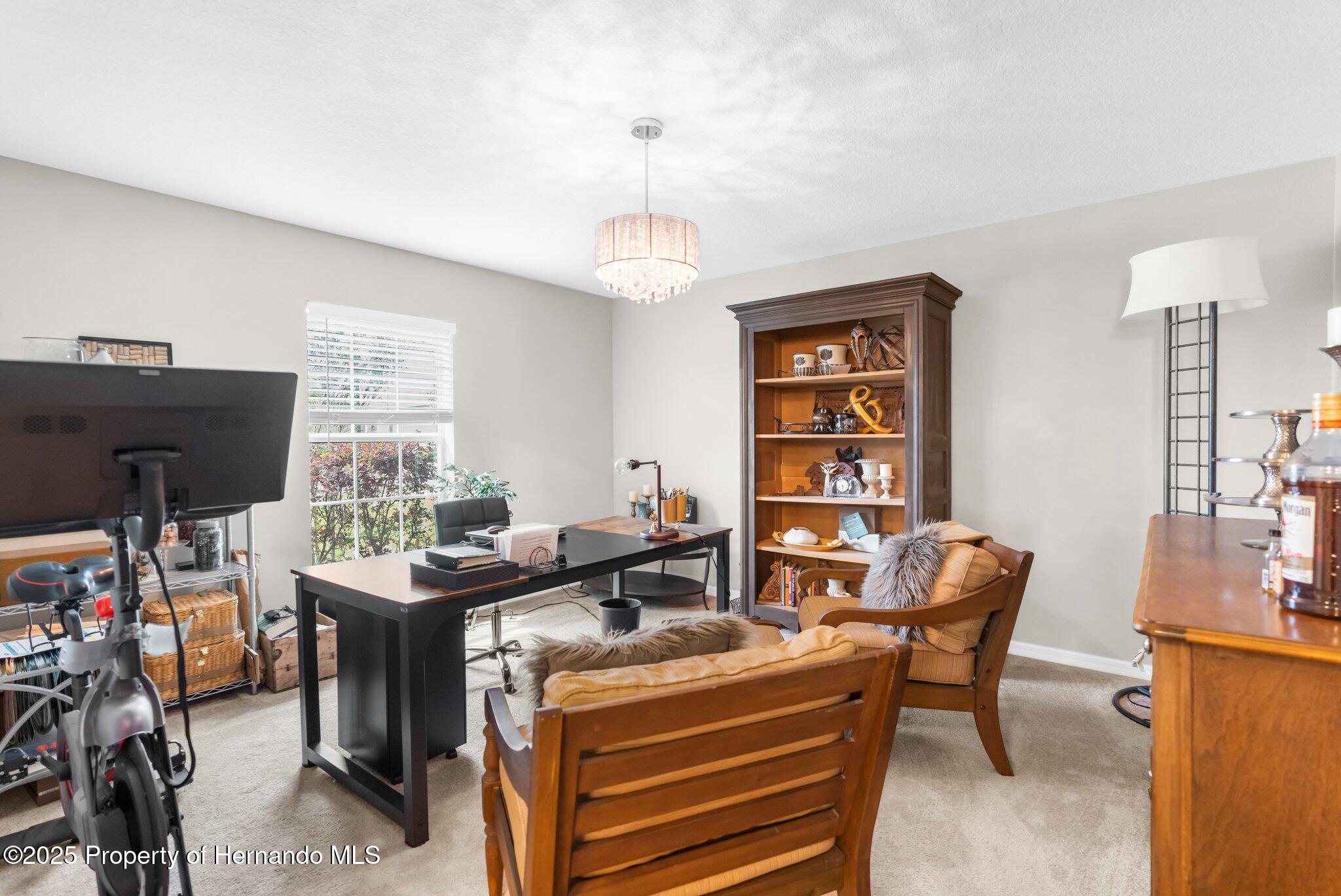 30861 Water Lily Drive, Brooksville, Florida image 15