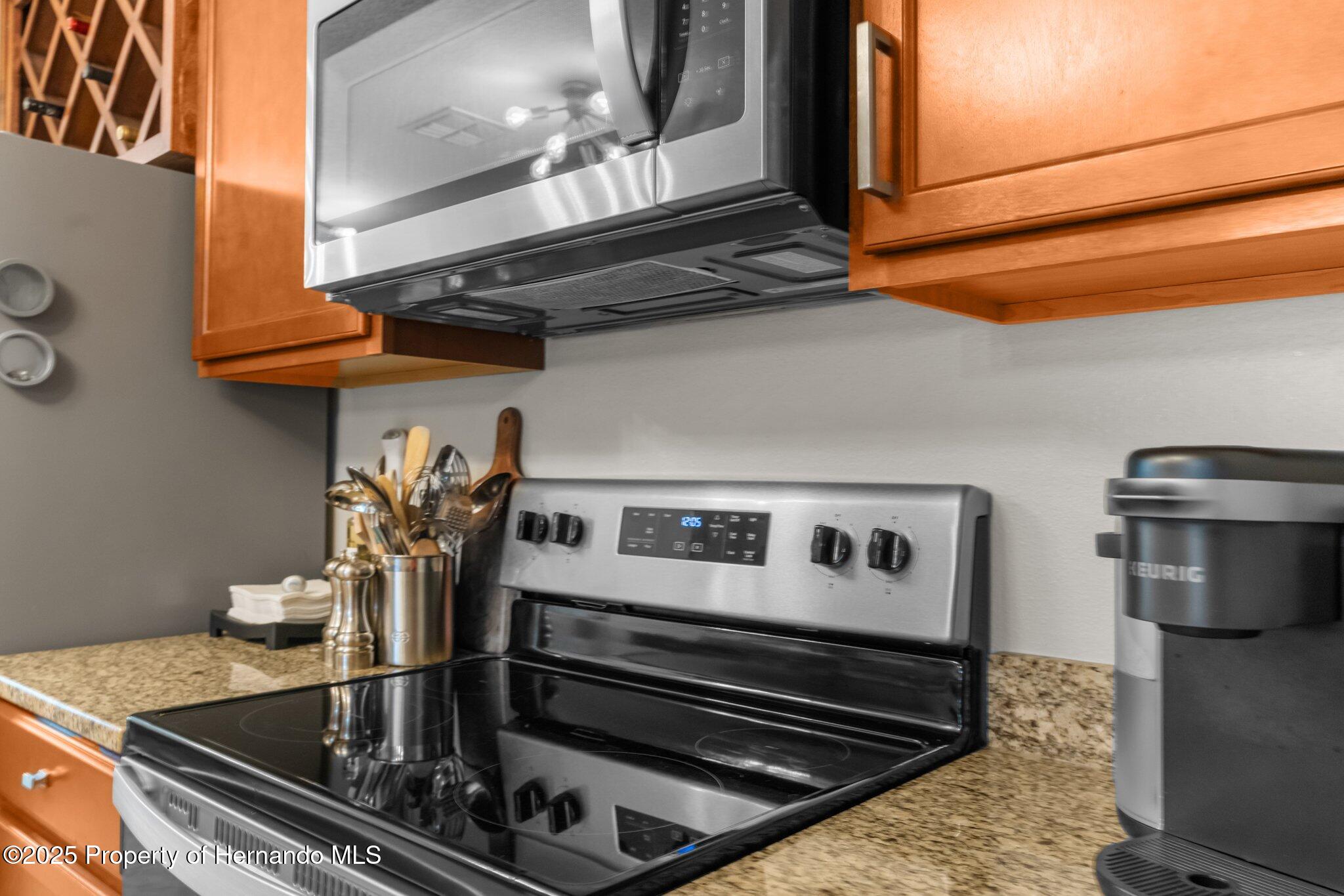 30861 Water Lily Drive, Brooksville, Florida image 7