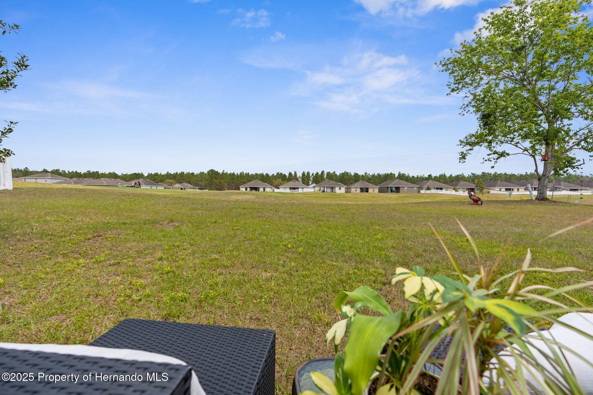 30861 Water Lily Drive, Brooksville, Florida image 30