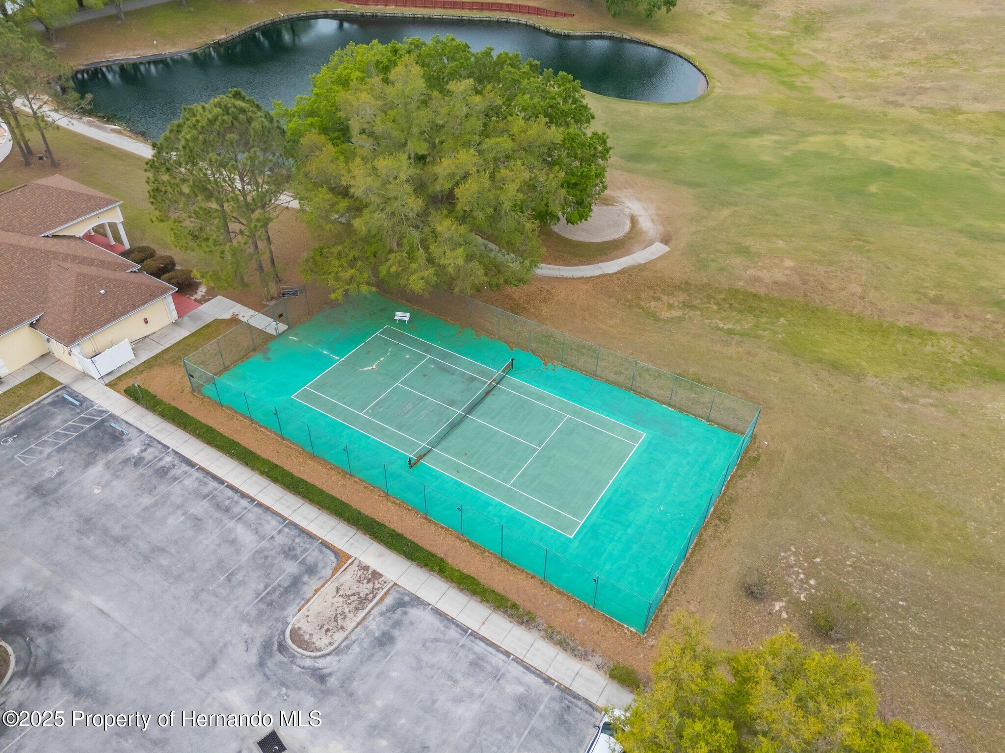 30861 Water Lily Drive, Brooksville, Florida image 40
