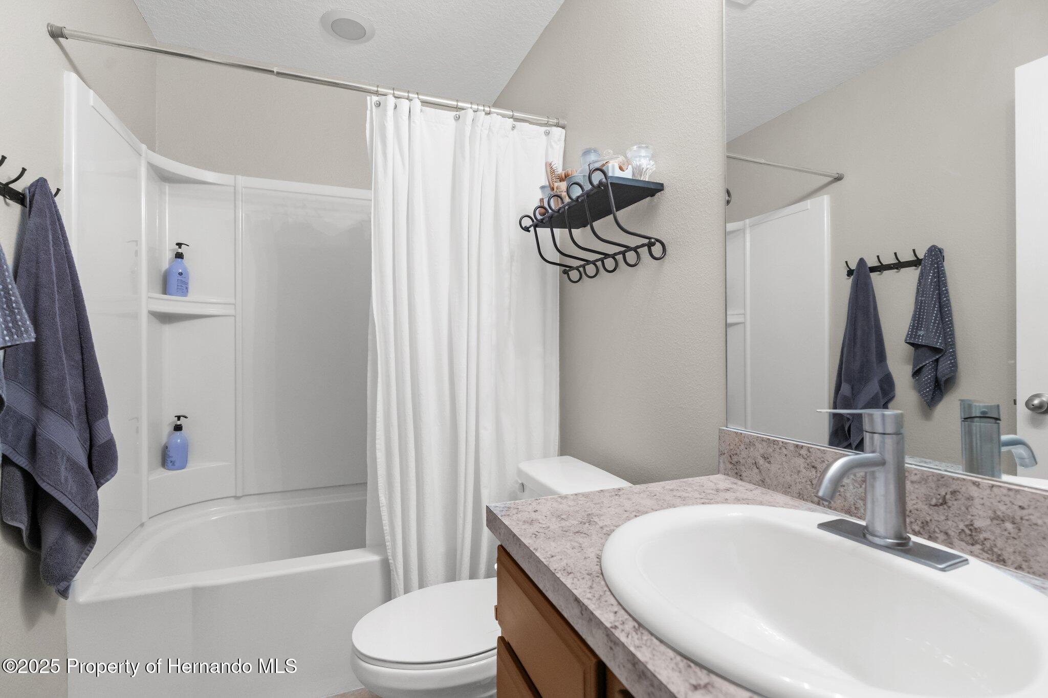 30861 Water Lily Drive, Brooksville, Florida image 19
