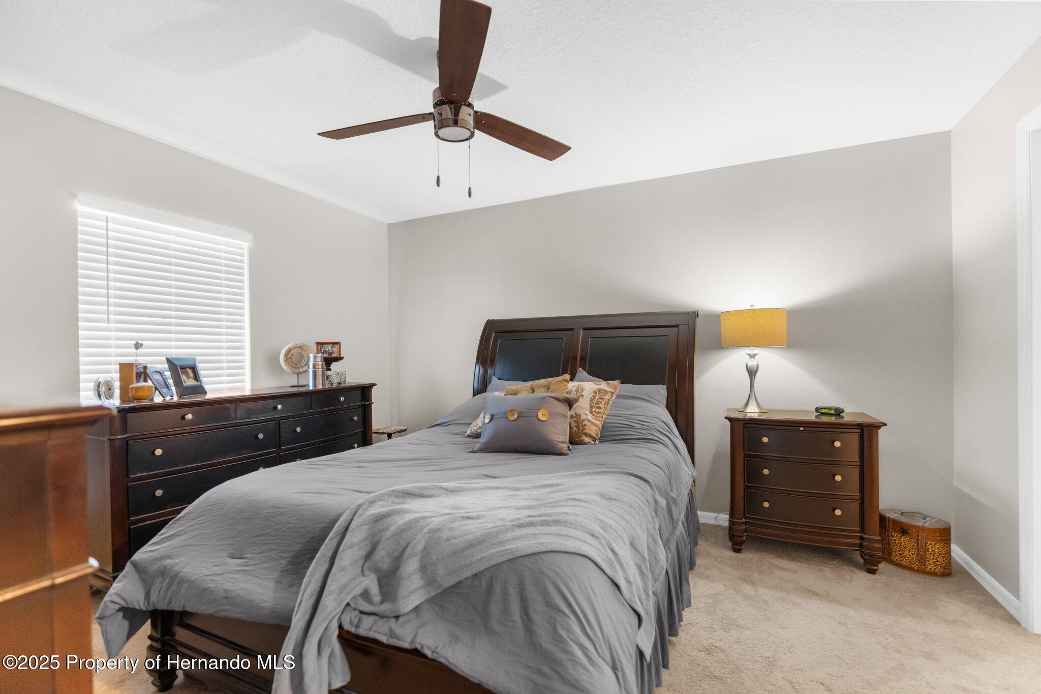 30861 Water Lily Drive, Brooksville, Florida image 23