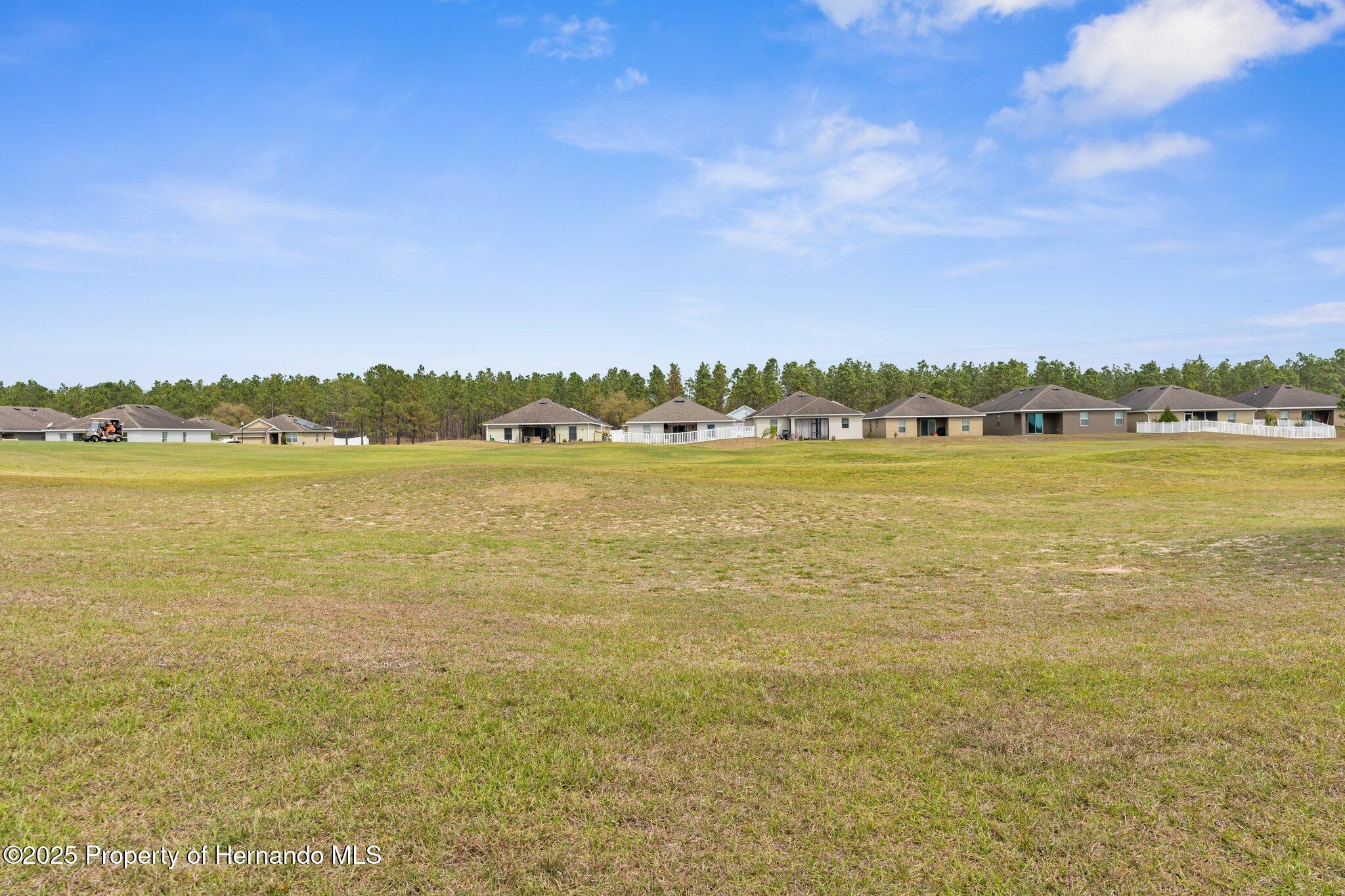 30861 Water Lily Drive, Brooksville, Florida image 32