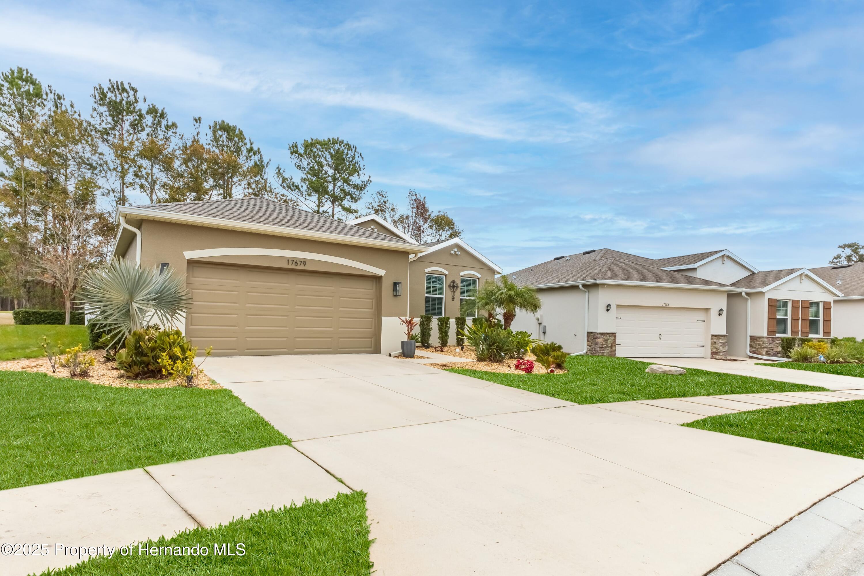 17679 Garsalaso Circle, Brooksville, Florida image 3