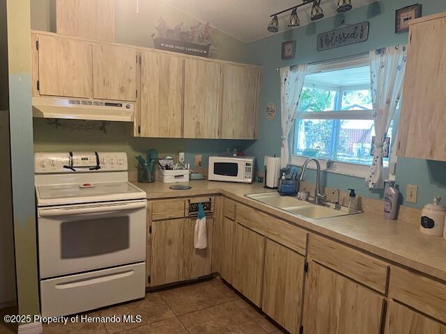 1332 Inca Avenue, Spring Hill, Florida image 7