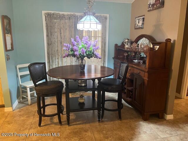 1332 Inca Avenue, Spring Hill, Florida image 6