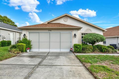 290 Quane Avenue Spring Hill FL 34609
