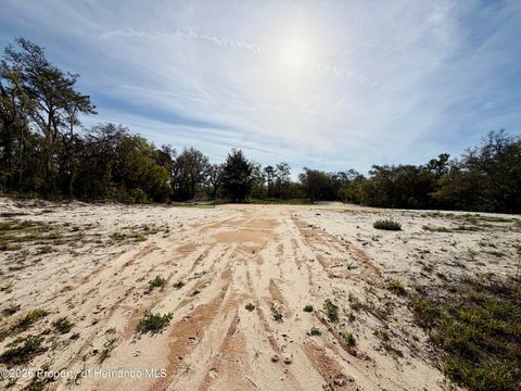 Vacant Land For Sale - Wagers Drive<br/> Webster, FL 33597