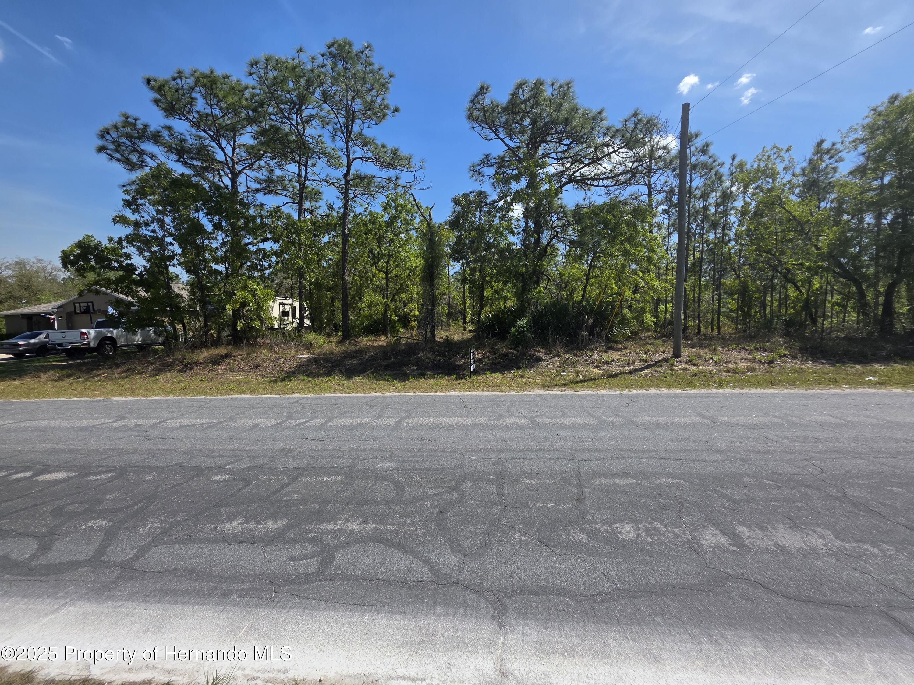 Quigley Avenue, Weeki Wachee, Florida image 1