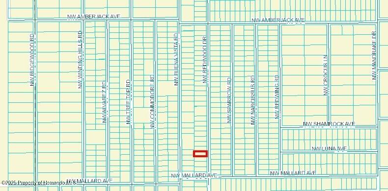 449181 Nw Redwood Drive, Dunnellon, Florida image 2