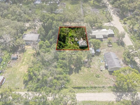 Vacant Land For Sale - 3241 Taffeta Street<br/> Ridge Manor, FL 33523