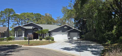 Homes For Sale - 6545 Mulligan Court<br/> Spring Hill, FL 34606