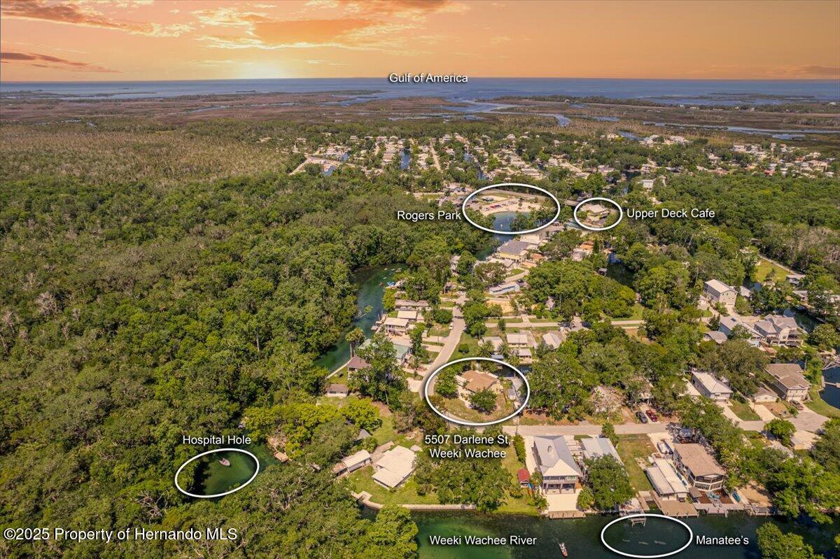 5507 Darlene Street, Spring Hill, Florida image 3