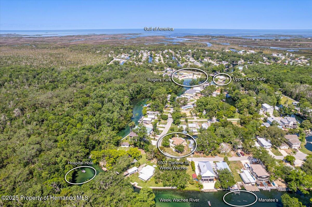 5507 Darlene Street, Spring Hill, Florida image 16