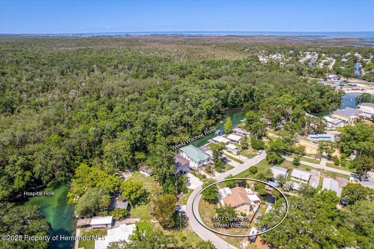 5507 Darlene Street, Spring Hill, Florida image 12