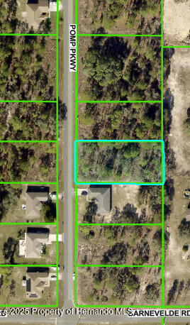 15234 Pomp Parkway, Brooksville, Florida image 2