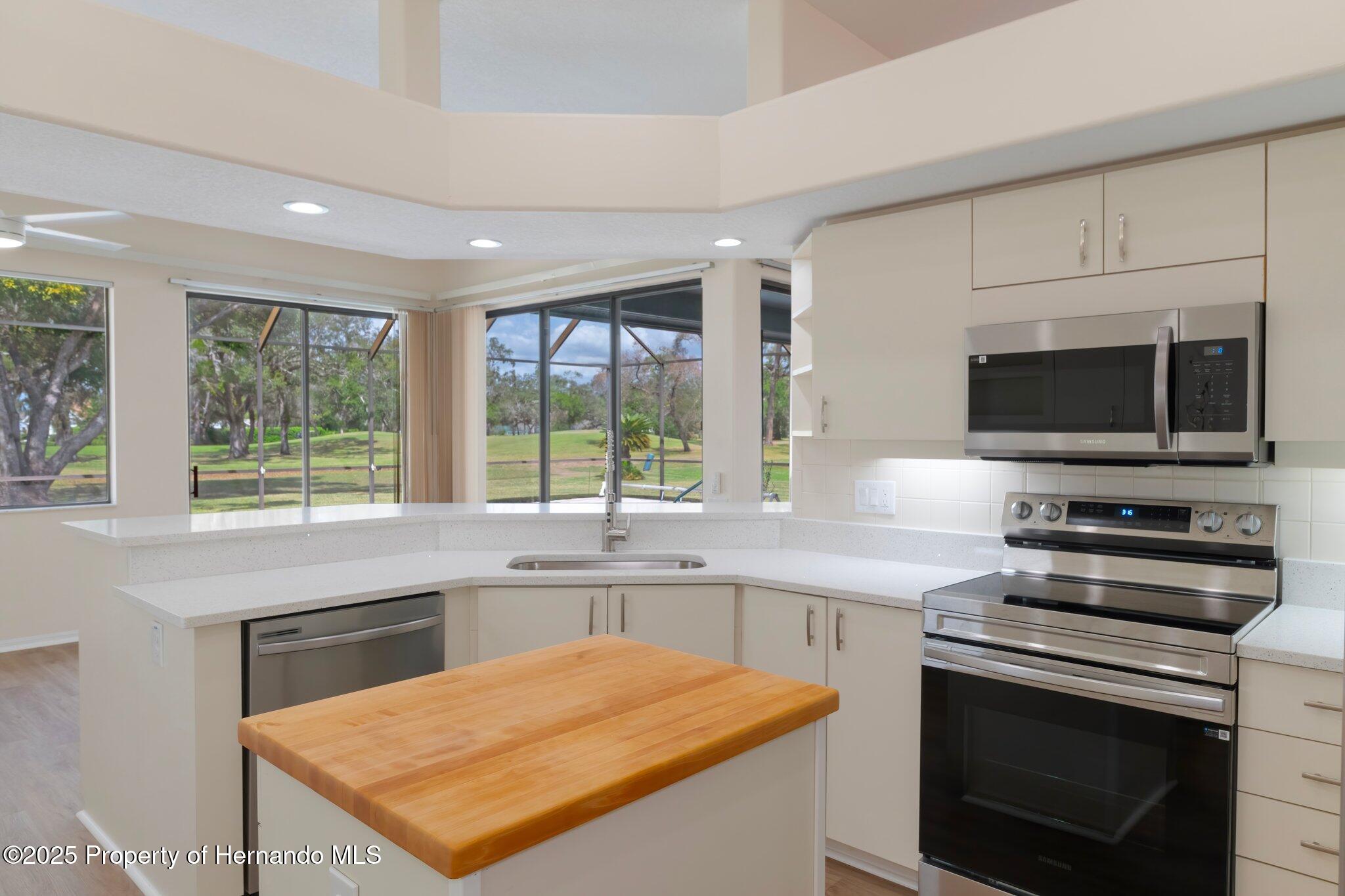 9397 Merriweather Drive, Weeki Wachee, Florida image 22