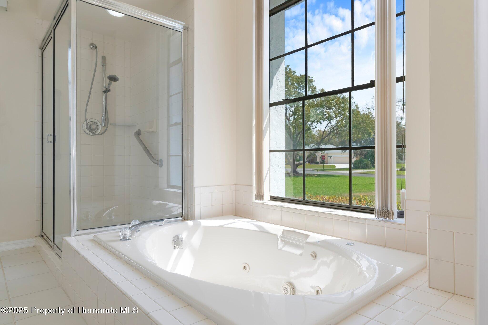 9397 Merriweather Drive, Weeki Wachee, Florida image 35