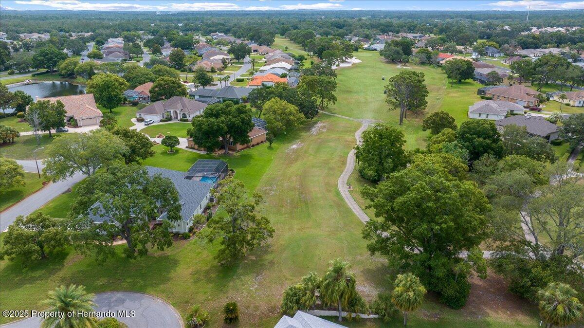 10044 Twelve Oaks Court, Weeki Wachee, Florida image 48