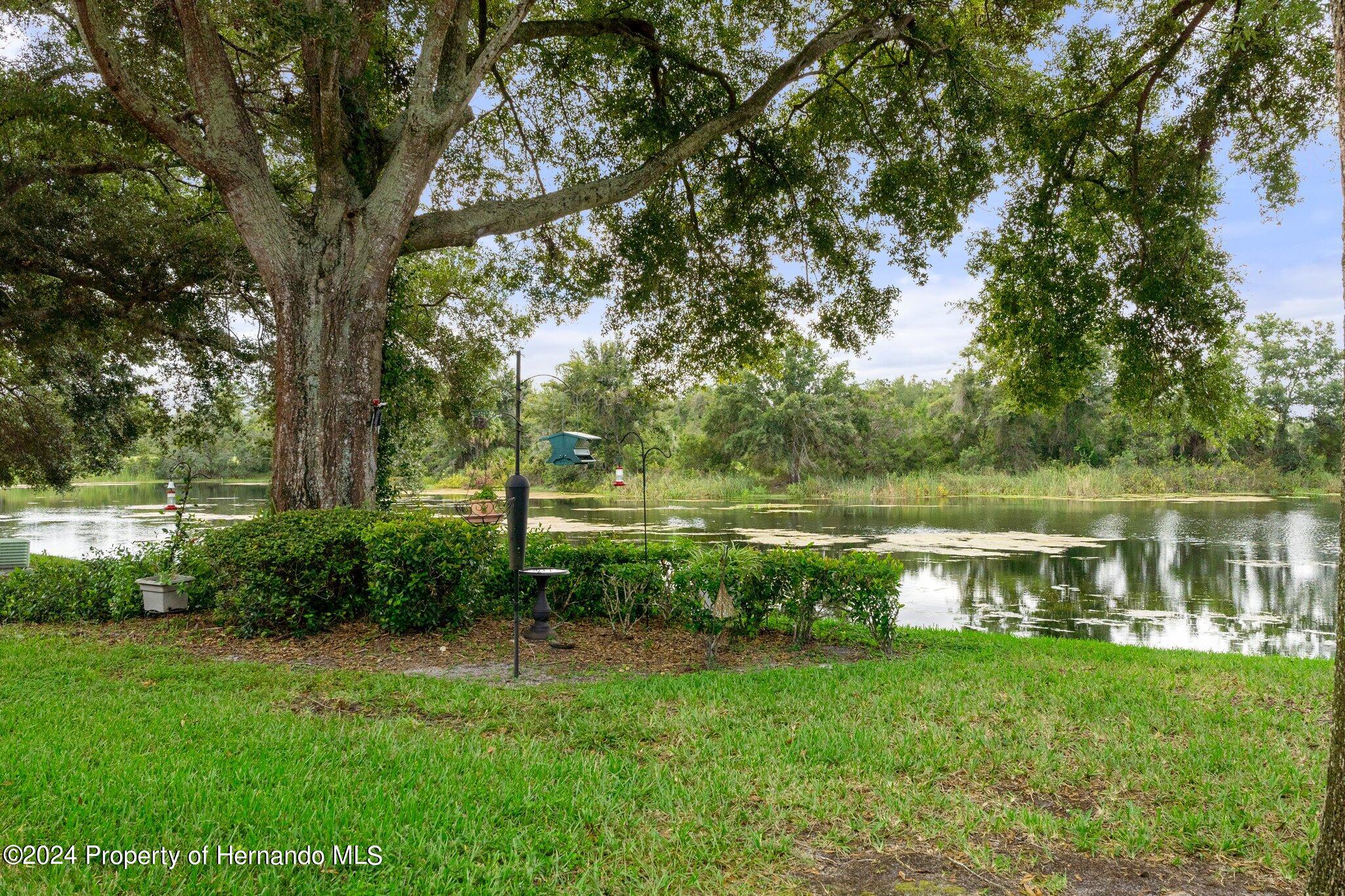 7472 Heather Walk Drive, Weeki Wachee, Florida image 37