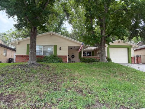 Homes For Sale - 12204 Bear Creek Lane<br/> Hudson, FL 34667