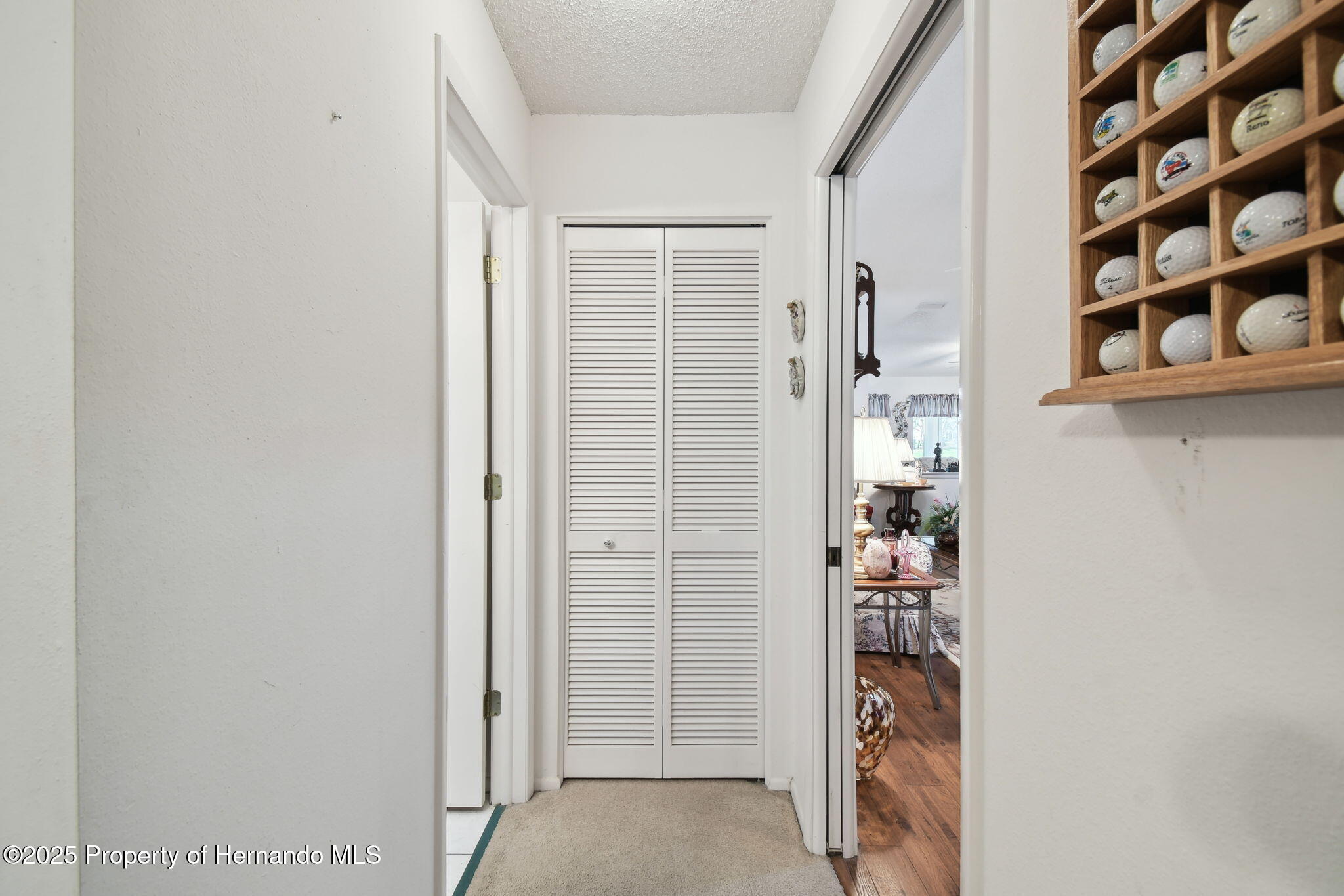 7424 Woodhollow Road, Spring Hill, Florida image 32