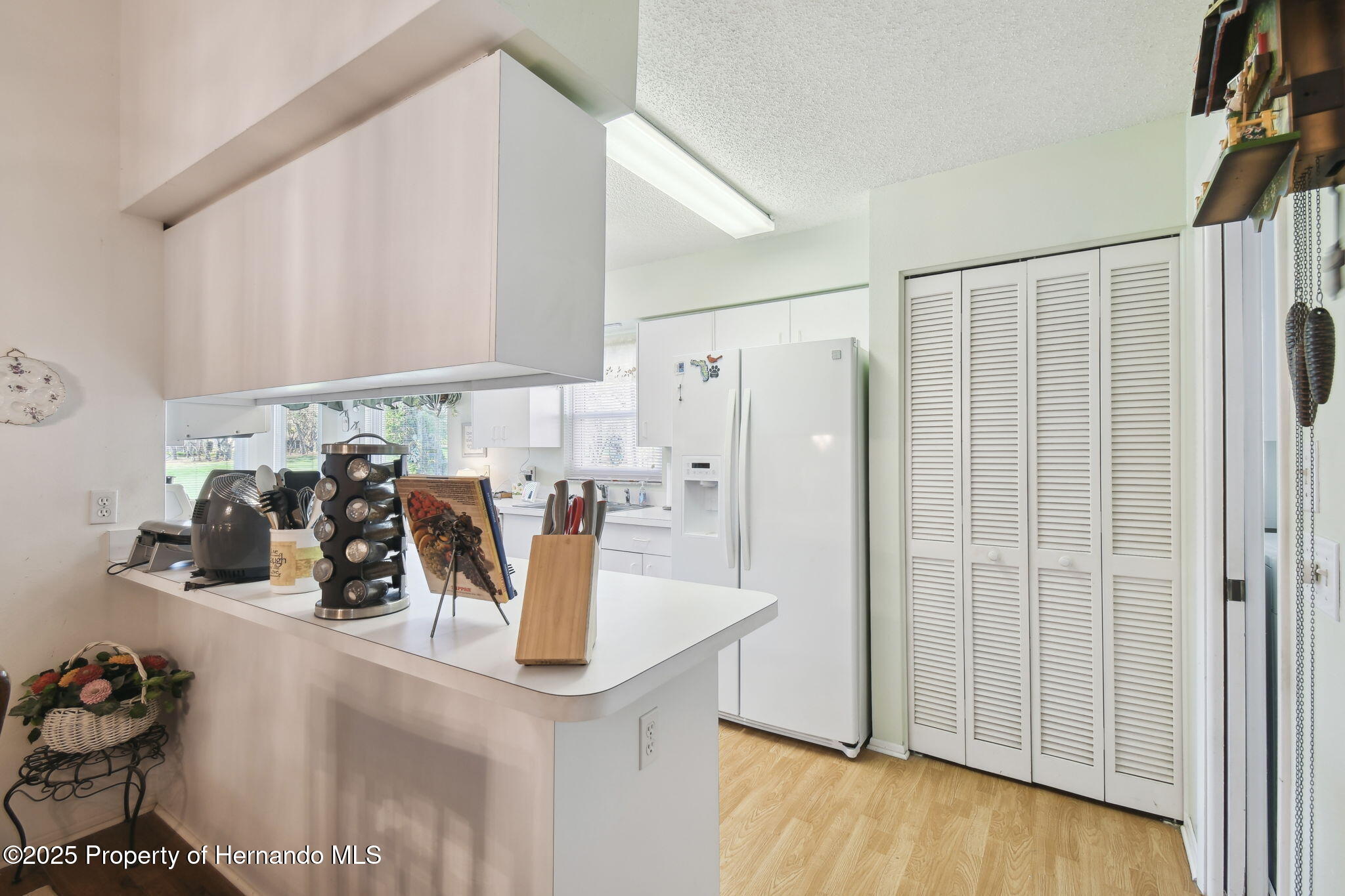 7424 Woodhollow Road, Spring Hill, Florida image 16