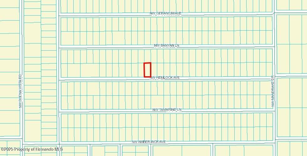 453463 Nw Hemlock Avenue, Dunnellon, Florida image 2