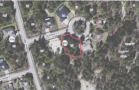 Vacant Land For Sale - 6 Pepper Court<br/> Homosassa, FL 34446