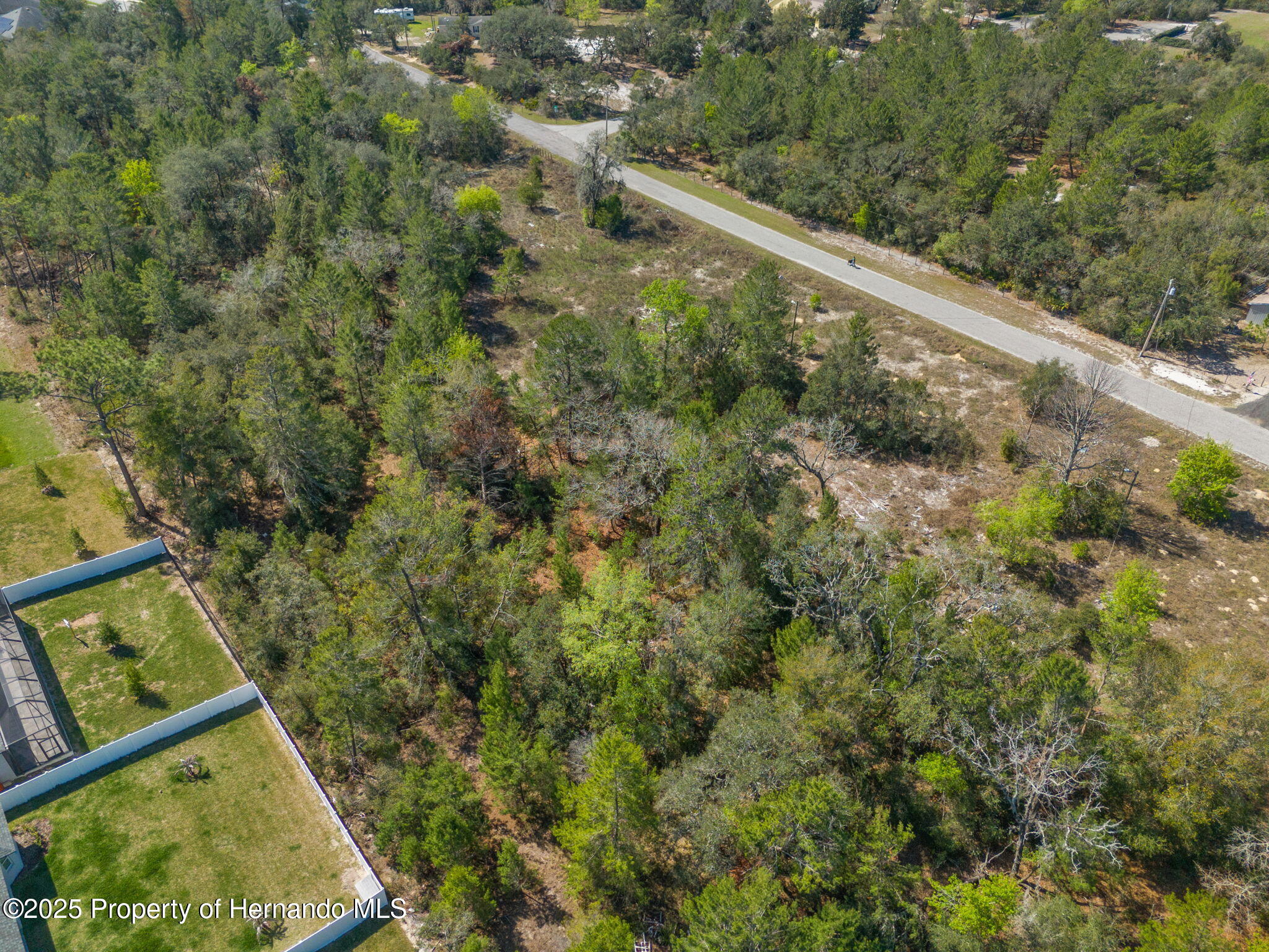 00 Carlton Street, Spring Hill, Florida image 7