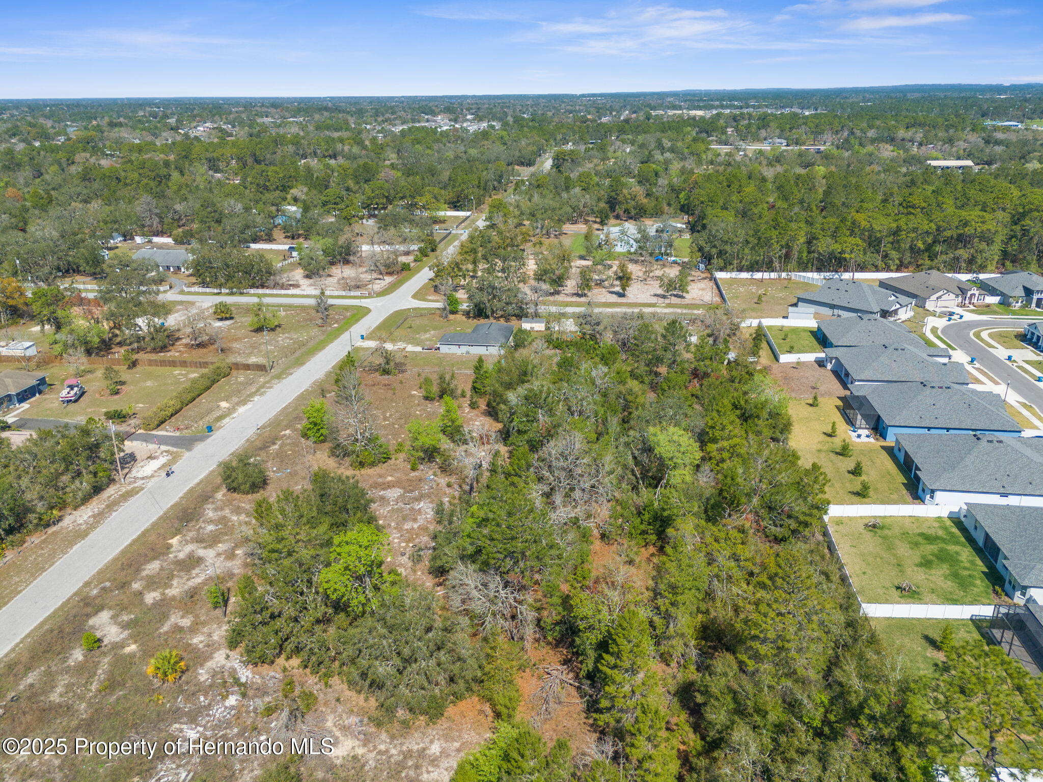 00 Carlton Street, Spring Hill, Florida image 4