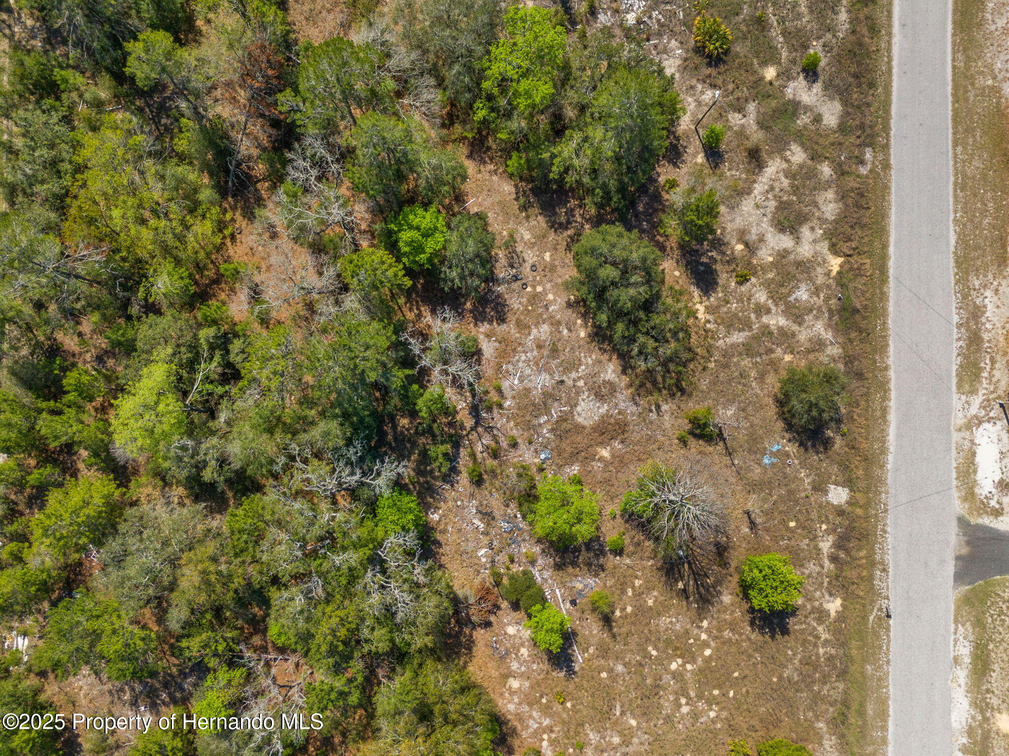 00 Carlton Street, Spring Hill, Florida image 8
