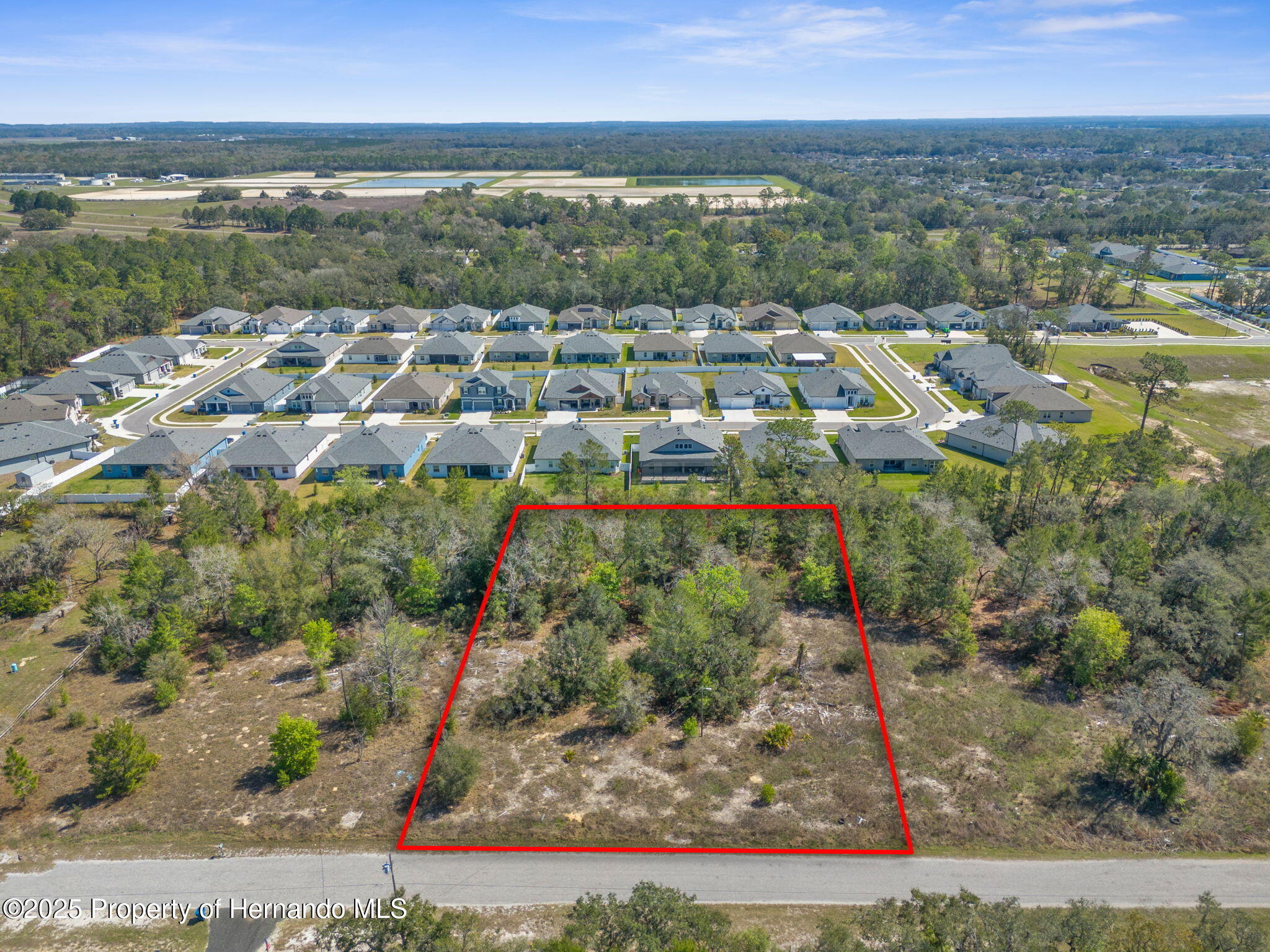 00 Carlton Street, Spring Hill, Florida image 1