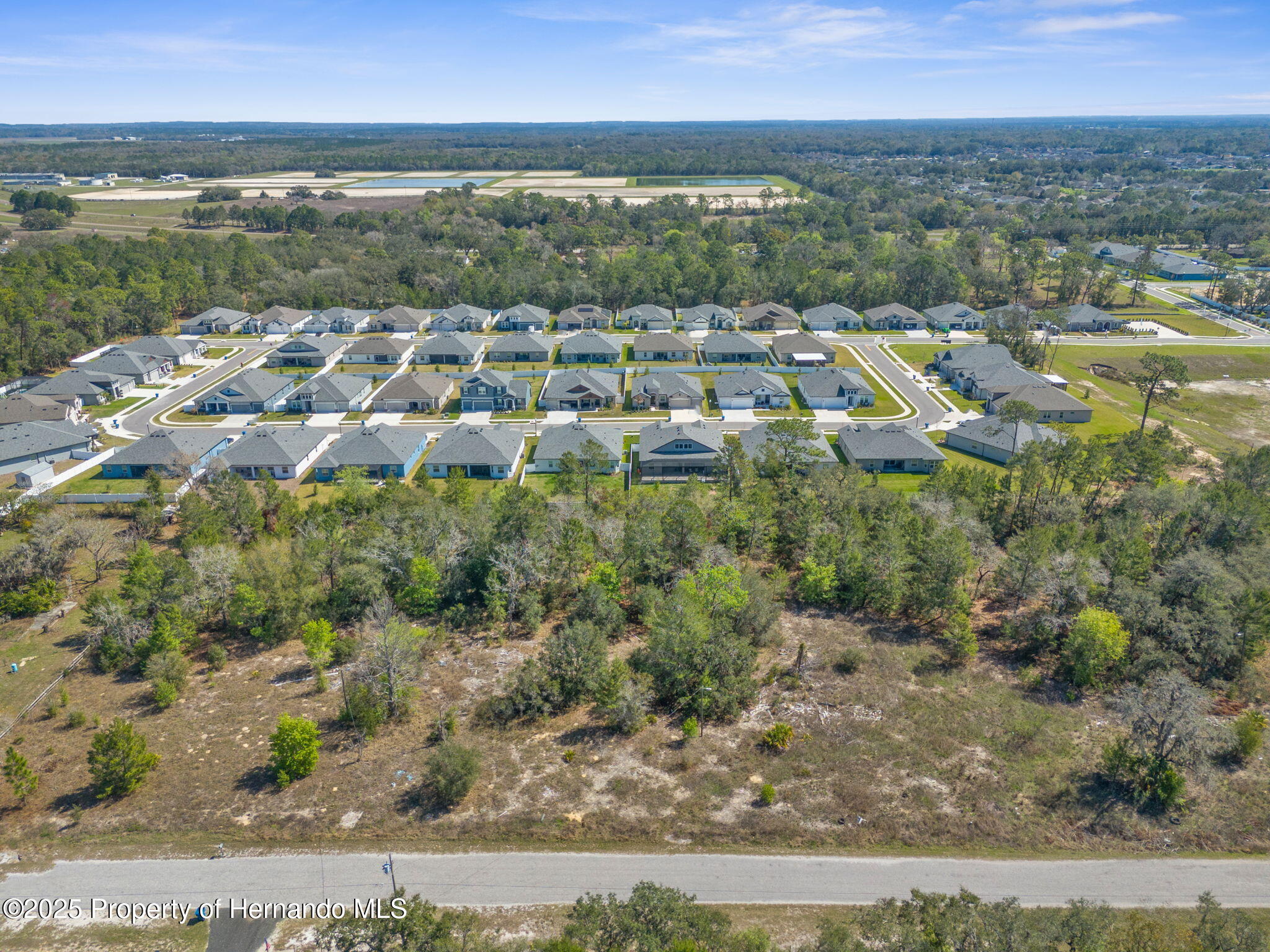 00 Carlton Street, Spring Hill, Florida image 2