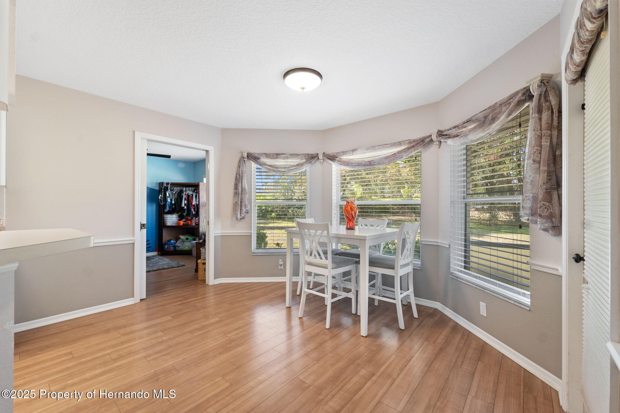14173 Nugent Circle, Spring Hill, Florida image 12